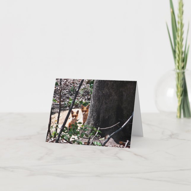 Cartão Woodland Note Card Foxes (Frente)