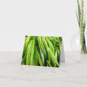Cartão Woodland Note Card - Japanese Forest Grass