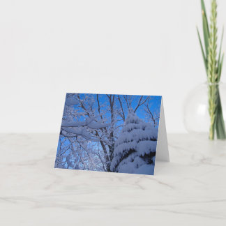 Cartão Woodland Note Card Whoville Spruce