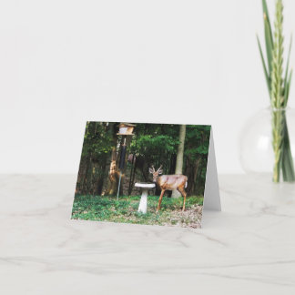 Cartão Woodland Note Card Young Buck