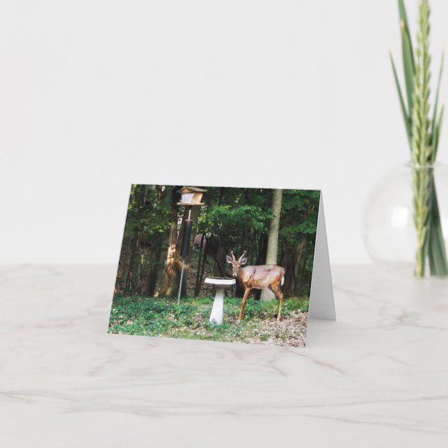 Cartão Woodland Note Card Young Buck (Frente)