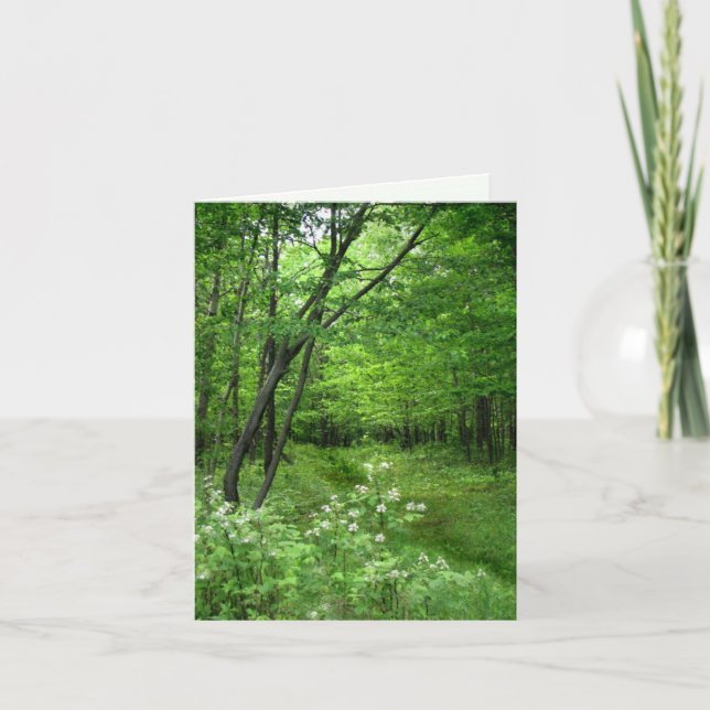 Cartão Woodland Path Birthday Card (Frente)