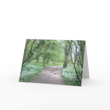 Woodland Path Photo Greeting Card