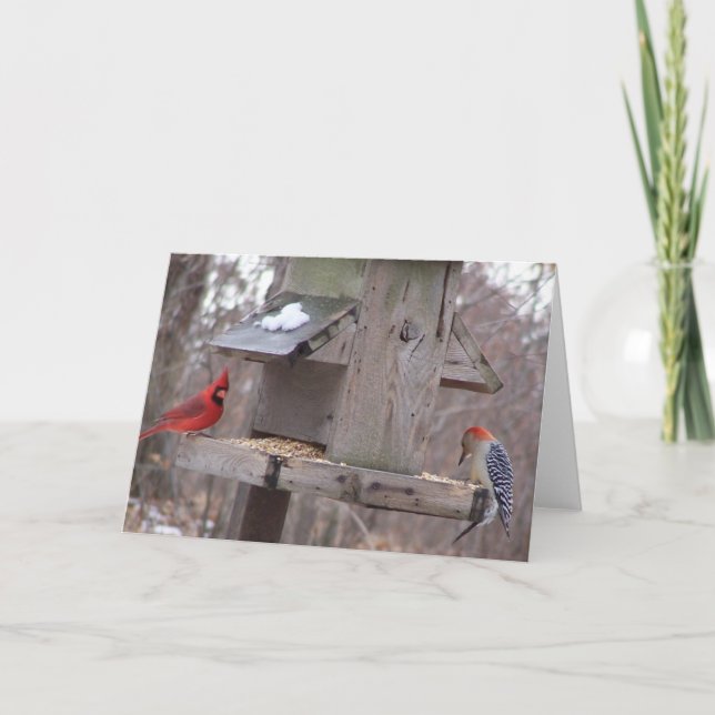 Cartão Woodpecker&Male Cardinal (Frente)