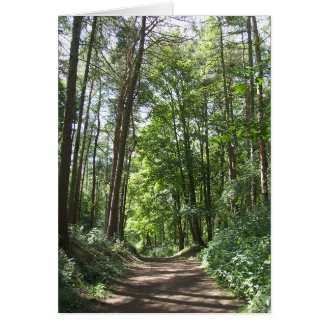 Cartão Woods Card (Frente)