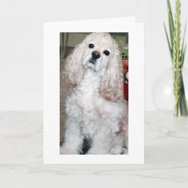 CARTÃO WOOF WOOF/FELY ANIVERSÁRIO DIZ COCKER SPANIEL (Frente)