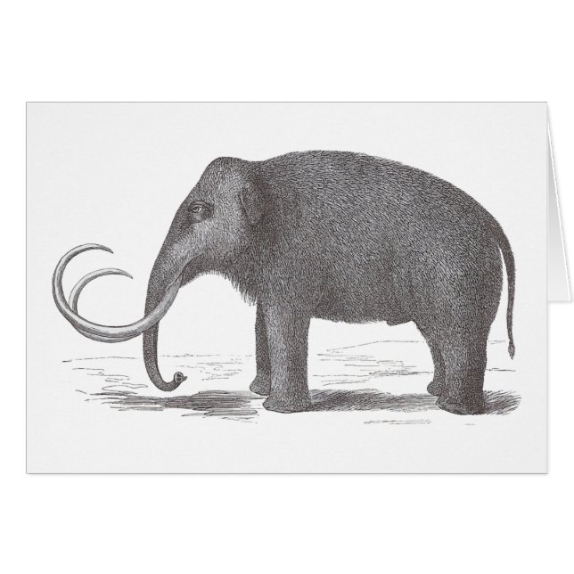 Cartão Wooly Mammoth Extinct Mastodon Antique Impressão (Frente Horizontal)