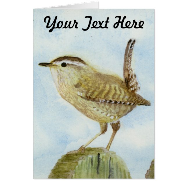 Cartão Wren (Frente)