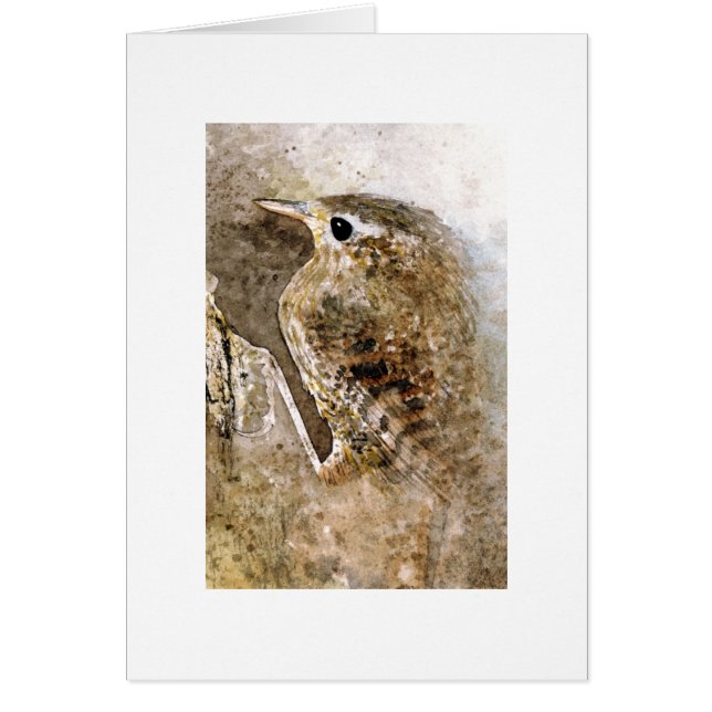 Cartão Wren (Frente)