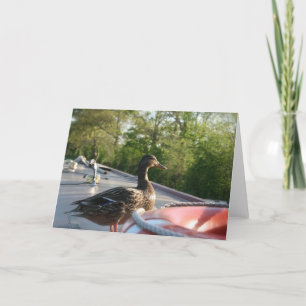 Cartão Wrenbury Duck Llangollen Canal Notecard