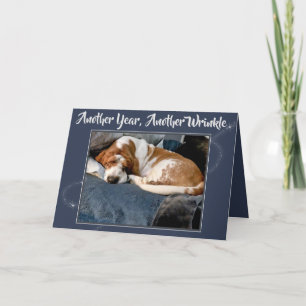 Cartão Wrinkled Basset Hound On Cute Birthday Card