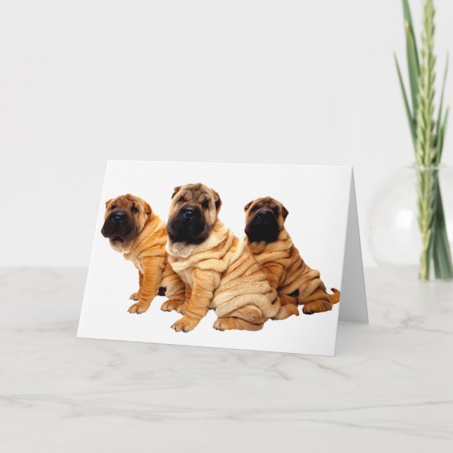 Cartão Wrinkles Are Beautiful Greeting Card (Frente)