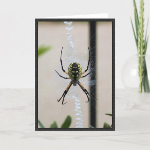 Cartão Writing Spider