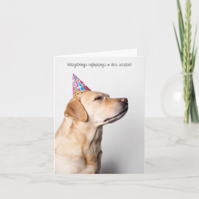 Cartão Wszystkiego najlepszego w dniu urodzin, polonês (Frente)