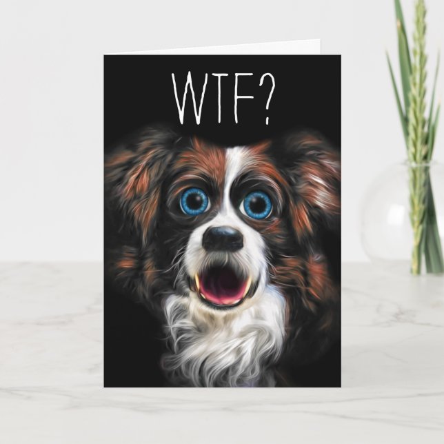 Cartão WTF? Belated Birthday with Funny Border Collie Dog (Frente)
