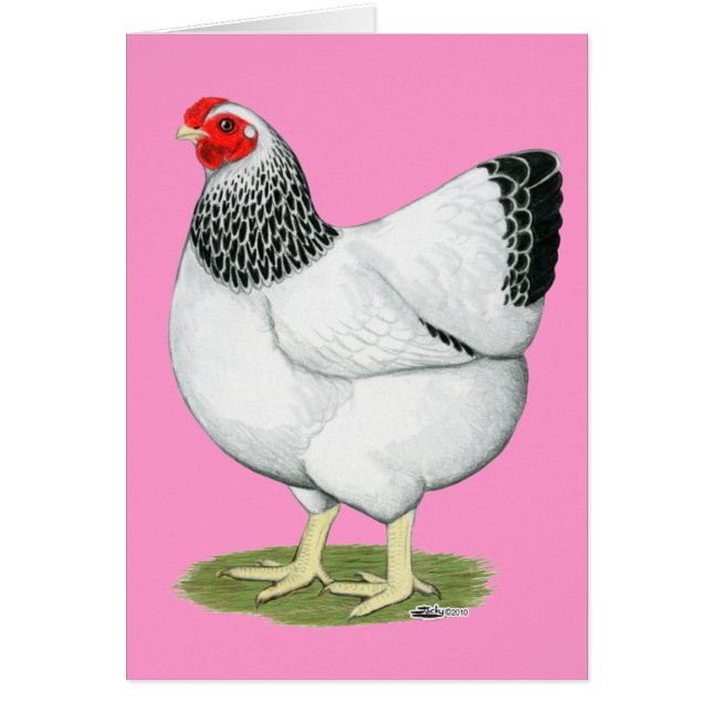 Cartão Wyandotte: Columbian Hen (Frente)