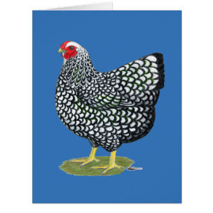 Cartão Wyandotte:  Hen lacado por prata