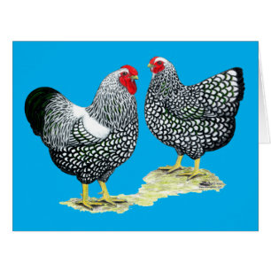 Cartão Wyandottes Par lacrado por prata
