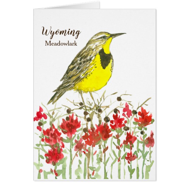 Cartão Wyoming Meadowlark Wildflower State Bird (Frente)