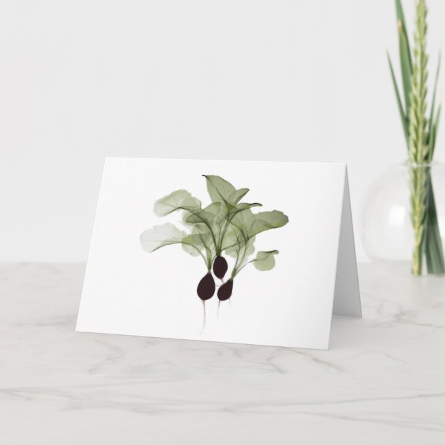 Cartão X-ray: Radish notecard (Frente)