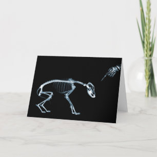 Cartão X-Ray Skeletons Bad Dog Blue