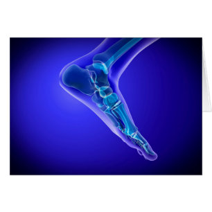 Cartão X-Ray View Do Pé Humano 3