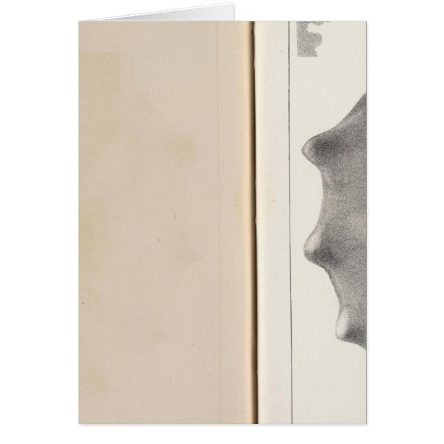 Cartão XIX Cretáceo (Frente)