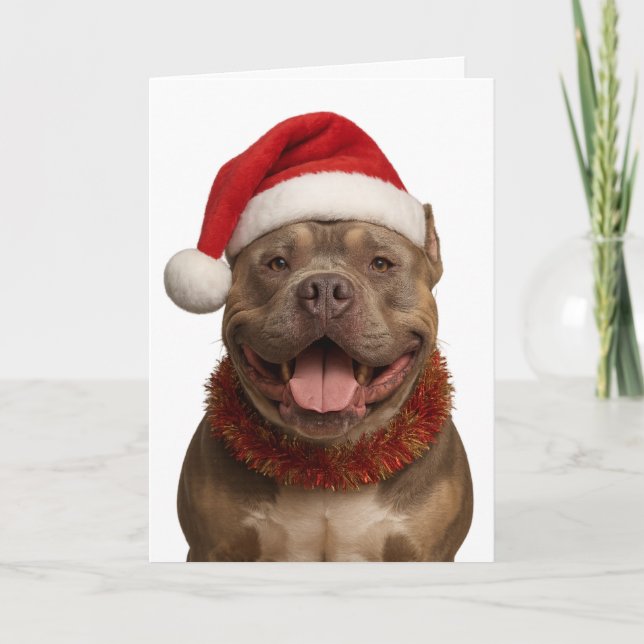 Cartão XL Bully in a Santa hat Christmas card (Frente)