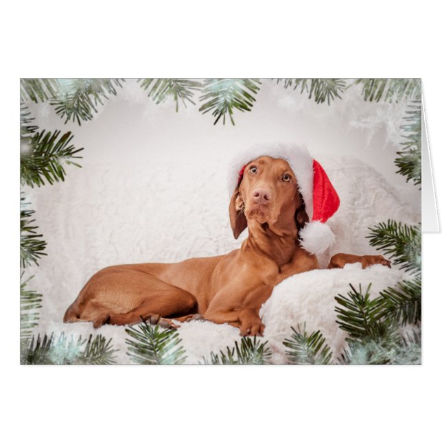 Cartão Xmas Card/Christmas Card “Magyar Vizsla " (Frente Horizontal)