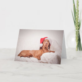 Cartão Xmas/Cartão de Natal "Magyar Vizsla"