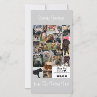 Cartão Xmas de Emergência Shar Pei