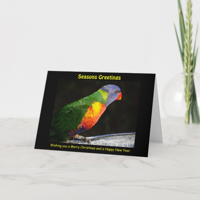 Cartão Xmas Rainbow Lorikeet (Frente)
