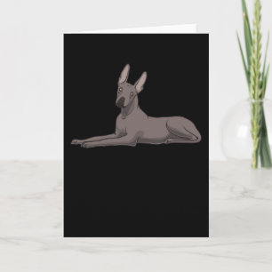 Cartão Xoloitzcuintle Dog