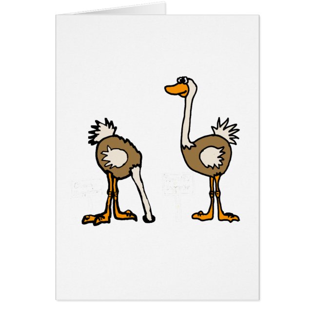 Cartão XX- avestruzes na areia (Frente)