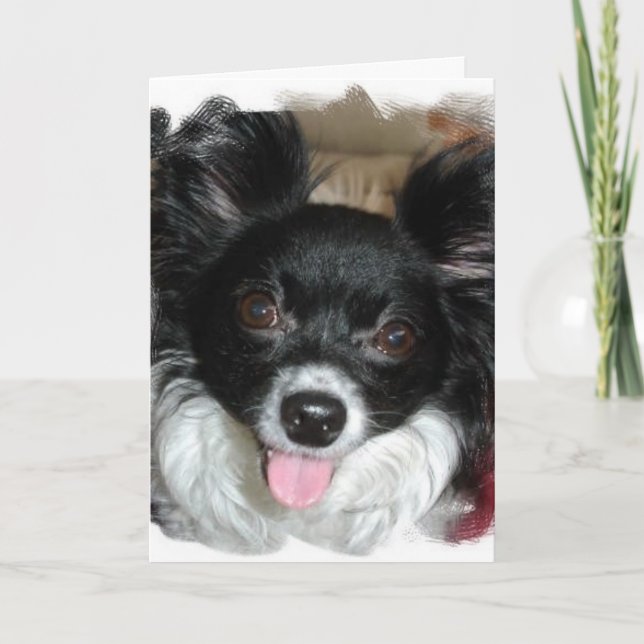 Cartão Yappy Birthday (Frente)