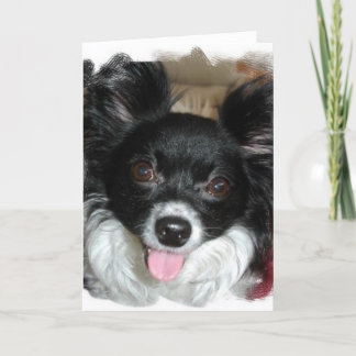 Cartão Yappy Birthday