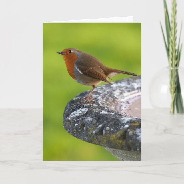 Cartão Yard Boss Greeting Card (Frente)