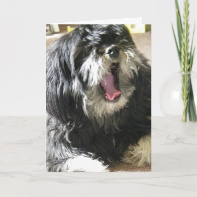 Cartão YAWNING CUZ EU SOU BORED aniversário de 40 anos (Frente)