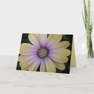 Cartão Yellow and Purple Daisy Flower Get Well Custom