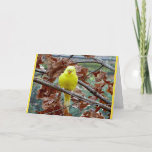 Cartão Yellow Bird Blank Greeting Card