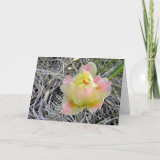 Cartão Yellow Cactus Flower Note Card