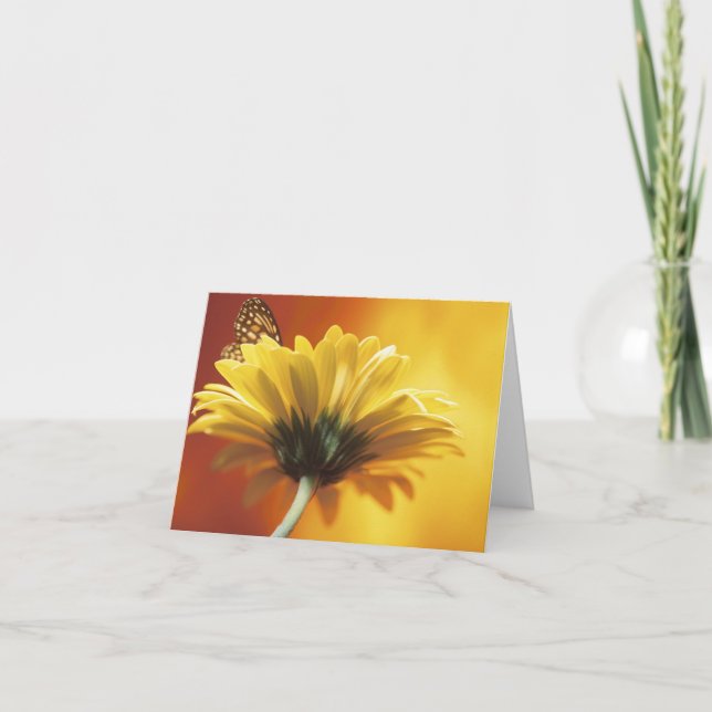 Cartão Yellow Daisy and Butterfly Note Card (Frente)