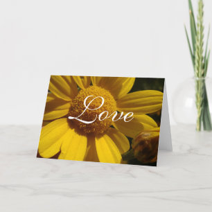 Cartão Yellow Daisy Love Card