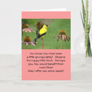 CARTÃO YELLOW FINCH ON CONEFLOWER/HUMOR/FRIENDSHIP