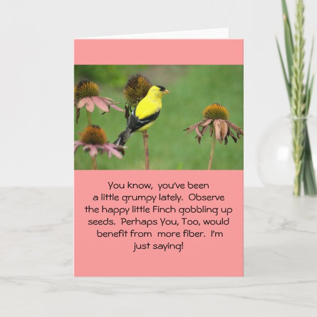 CARTÃO YELLOW FINCH ON CONEFLOWER/HUMOR/FRIENDSHIP (Frente)