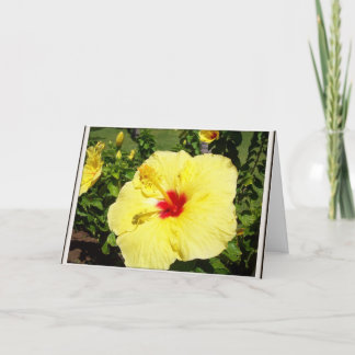 Cartão Yellow Flower Sympathy Card
