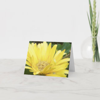 Cartão Yellow Gerber Note Card