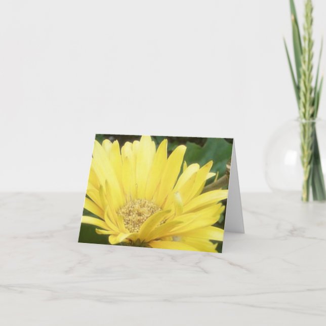 Cartão Yellow Gerber Note Card (Frente)