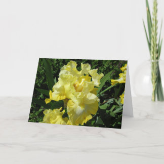 Cartão Yellow Iris Greeting Card