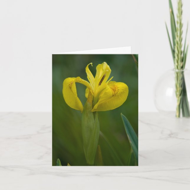 Cartão Yellow Iris Note Card (Frente)